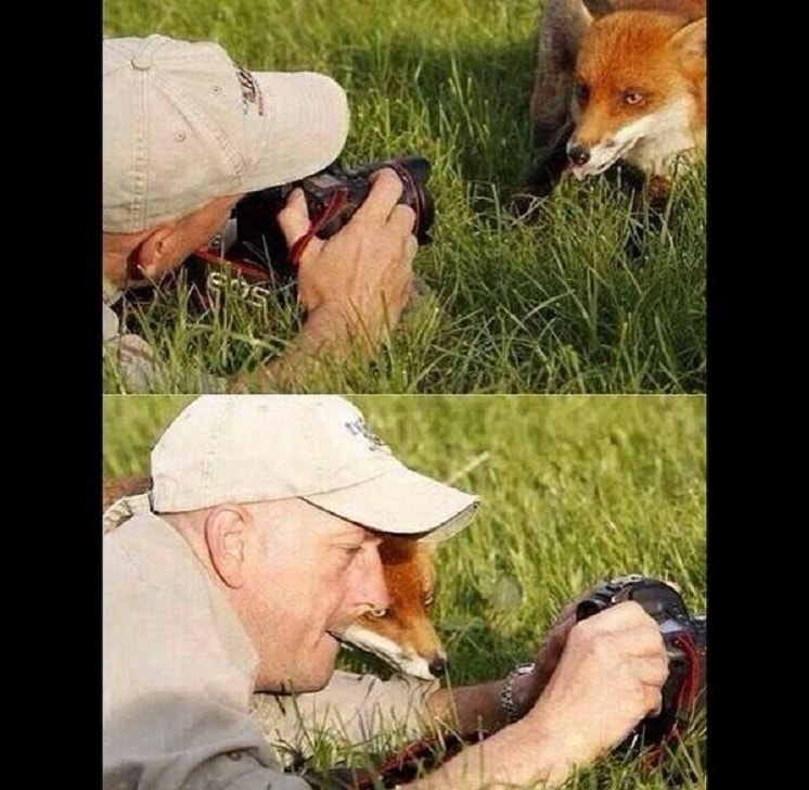 Animals are so funny