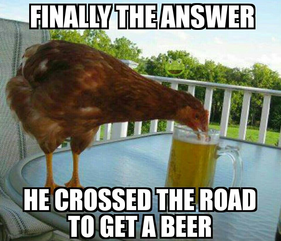 Animals are so funny