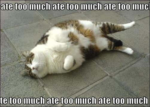 you eat too much - ate too much ate too much ate too muc te too much ate too much ate too much