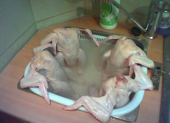 chicken in a hot tub