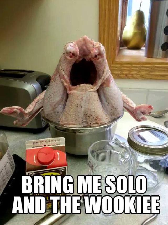 happy thanksgiving meme funny - Bring Me Solo And The Wookiee