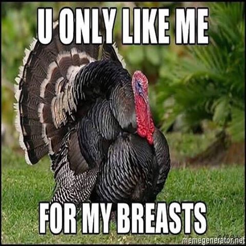 funny happy thanksgiving meme - U Only Me For My Breasts memegenerator.net
