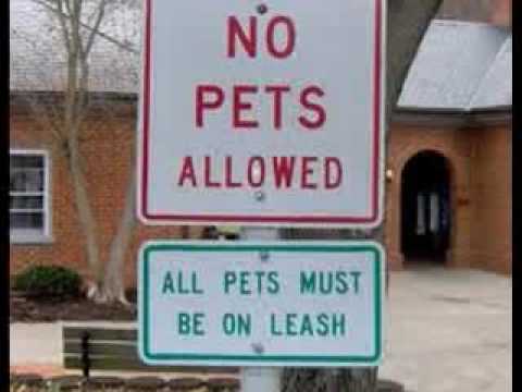 ironic signs - No Pets Allowed All Pets Must Be On Leash