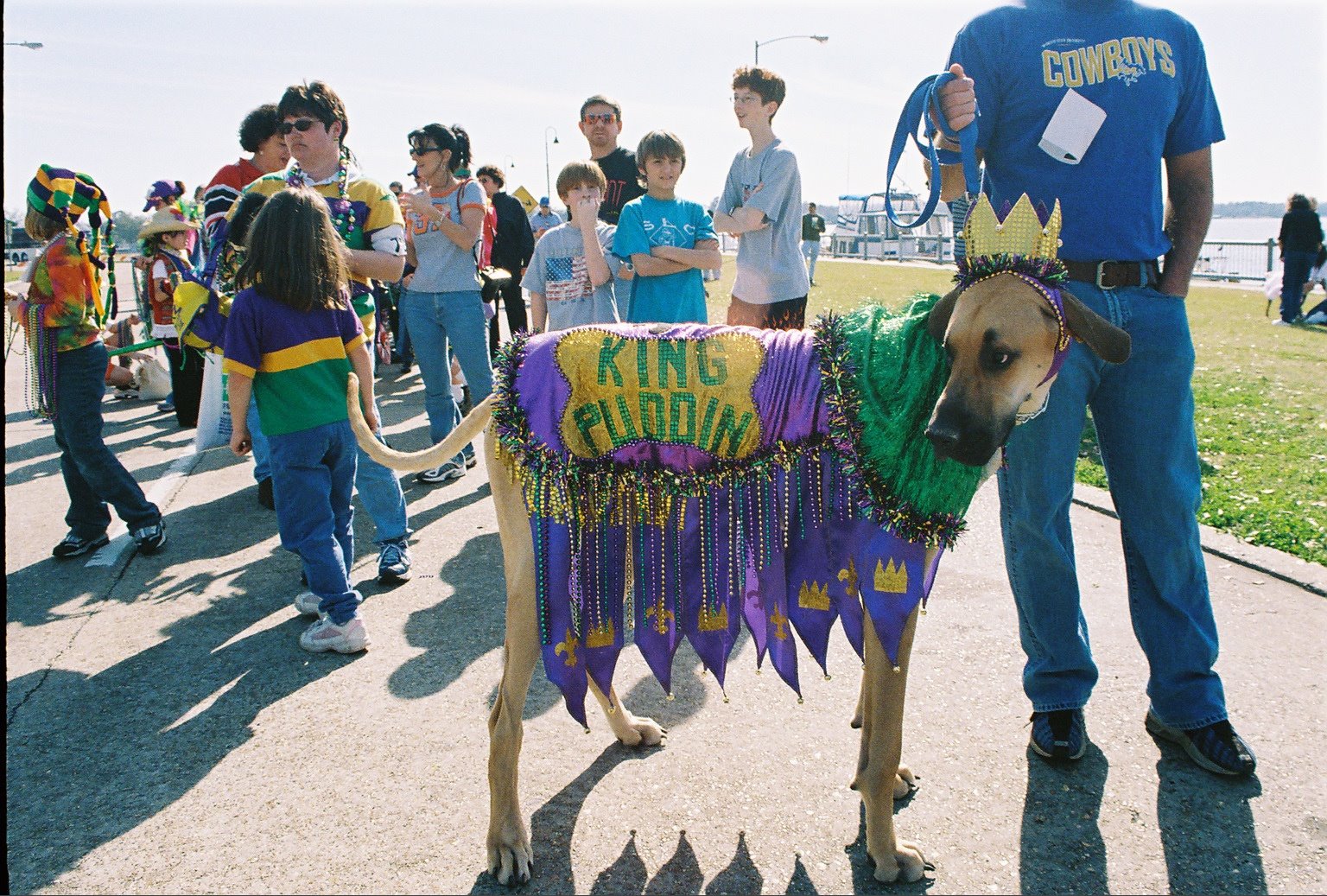 Mardi Gras went to the dogs