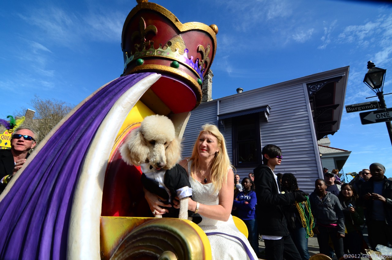 Mardi Gras went to the dogs