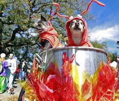 Mardi Gras went to the dogs