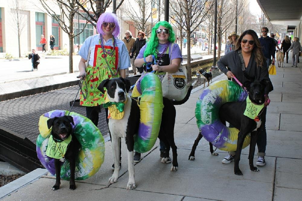 Mardi Gras went to the dogs