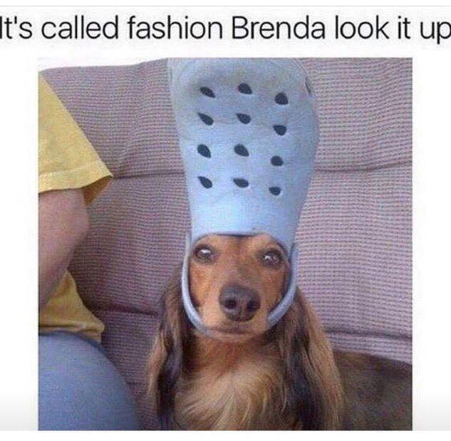 18 people and a dog you should not ask for fashion advice