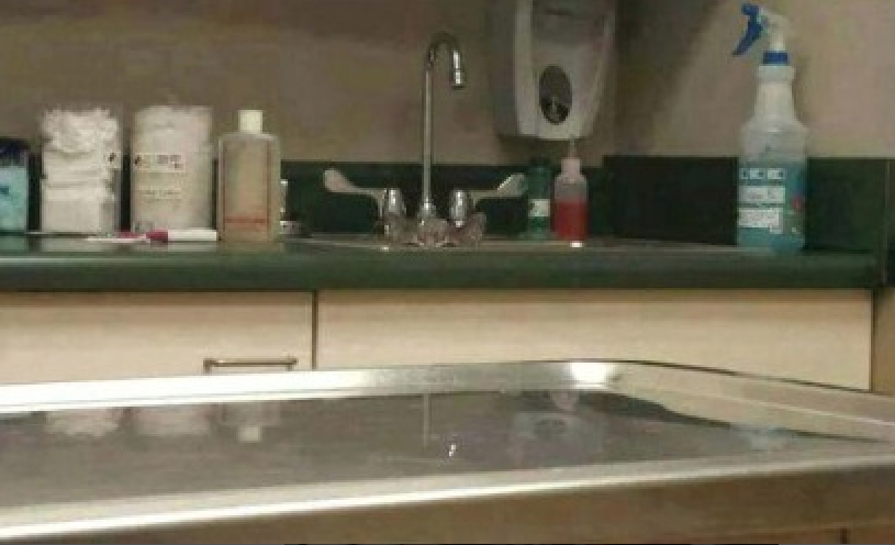 Let's play, "Where's the cat!?"