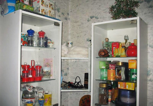 Let's play, "Where's the cat!?"