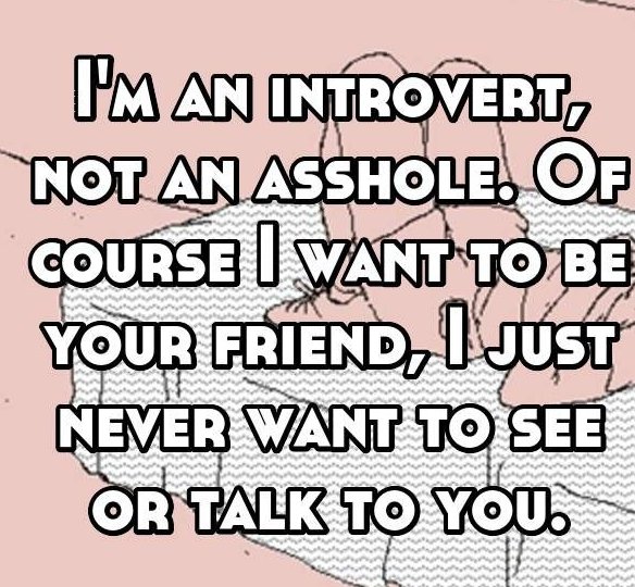 It's Friday, Introverts unite (and hide)