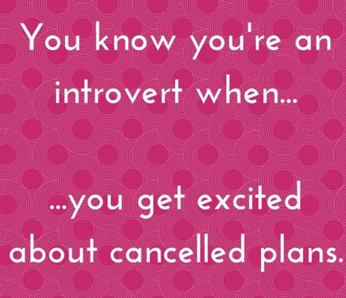 It's Friday, Introverts unite (and hide)