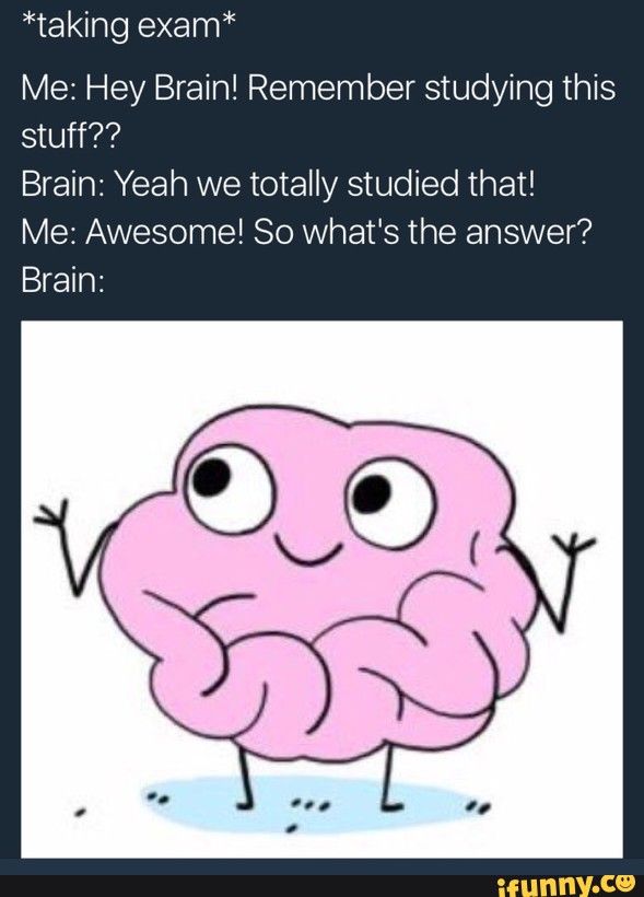 memes - exams funny study memes - taking exam Me Hey Brain! Remember studying this stuff?? Brain Yeah we totally studied that! Me Awesome! So what's the answer? Brain ifunny.co