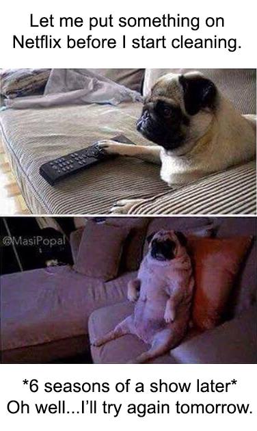 memes - pug - Let me put something on Netflix before I start cleaning. Masipopal 6 seasons of a show later Oh well...I'll try again tomorrow.