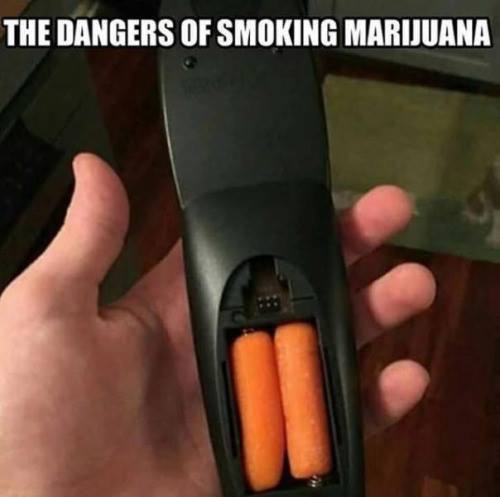 things in places they don t belong - The Dangers Of Smoking Marijuana