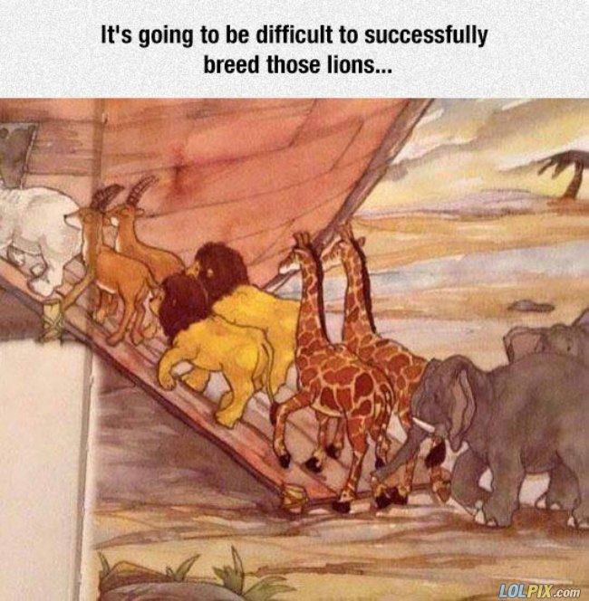 noahs ark lions - It's going to be difficult to successfully breed those lions... Lolpix.com