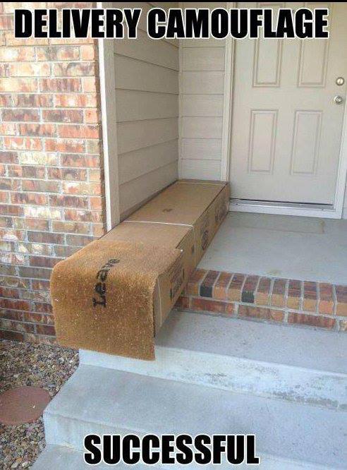 funny delivery memes - Delivery Camouflage Successful