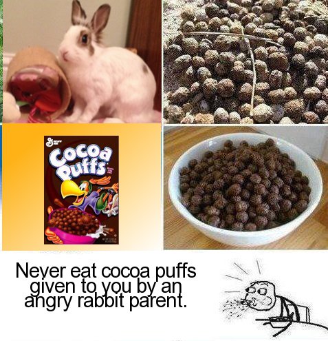 rabbit nesquik meme - cocoa suffs Neyer eat cocoa puffs given to you by an angry rabbit parent.