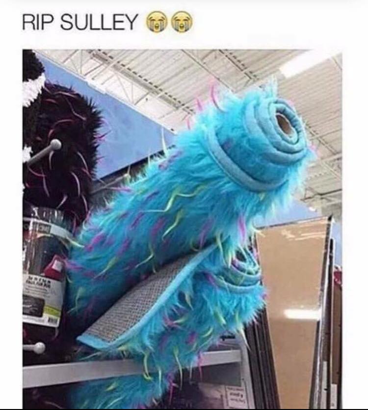 funny disney memes - Rip Sulley