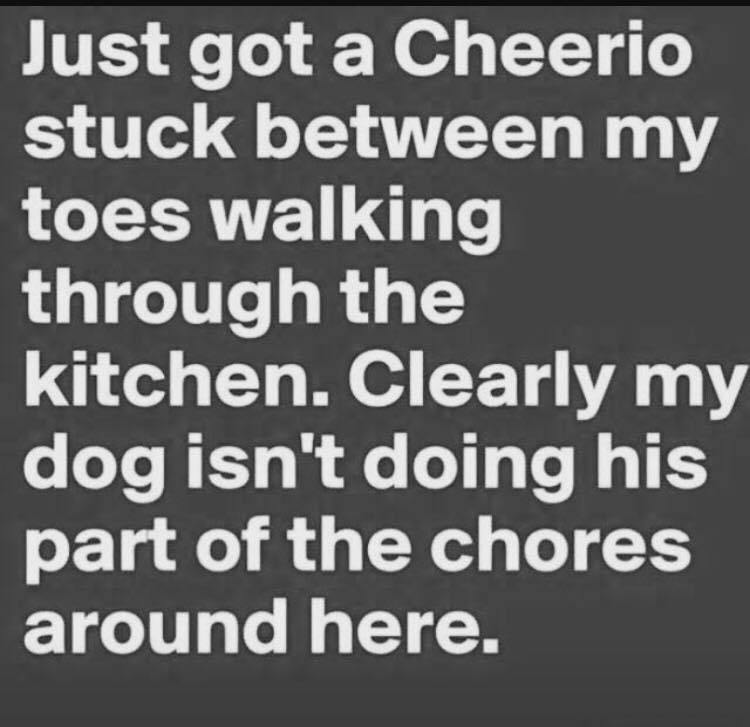 gardena pass - Just got a Cheerio stuck between my toes walking through the kitchen. Clearly my dog isn't doing his part of the chores around here.
