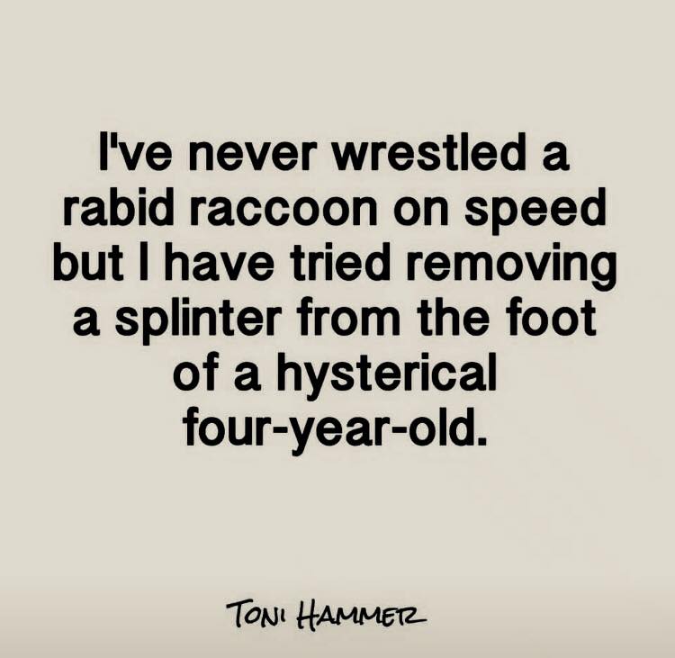 intj - I've never wrestled a rabid raccoon on speed but I have tried removing a splinter from the foot of a hysterical fouryearold. Toni Hammer