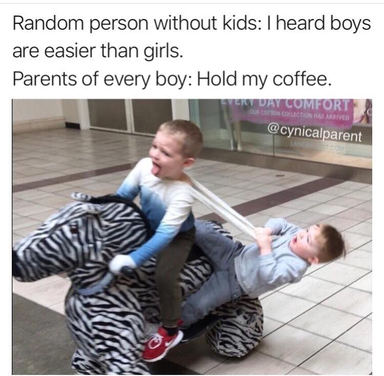 raising boys meme - Random person without kids I heard boys are easier than girls. Parents of every boy Hold my coffee. Very Day Comfort Cotton Collection Has Arrived