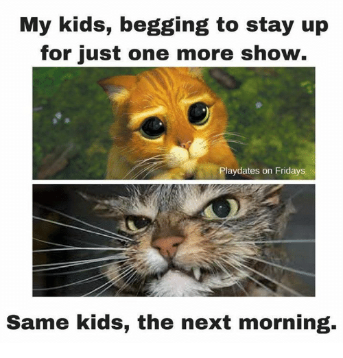 funny toddler memes - My kids, begging to stay up for just one more show. Playdates on Fridays Same kids, the next morning.