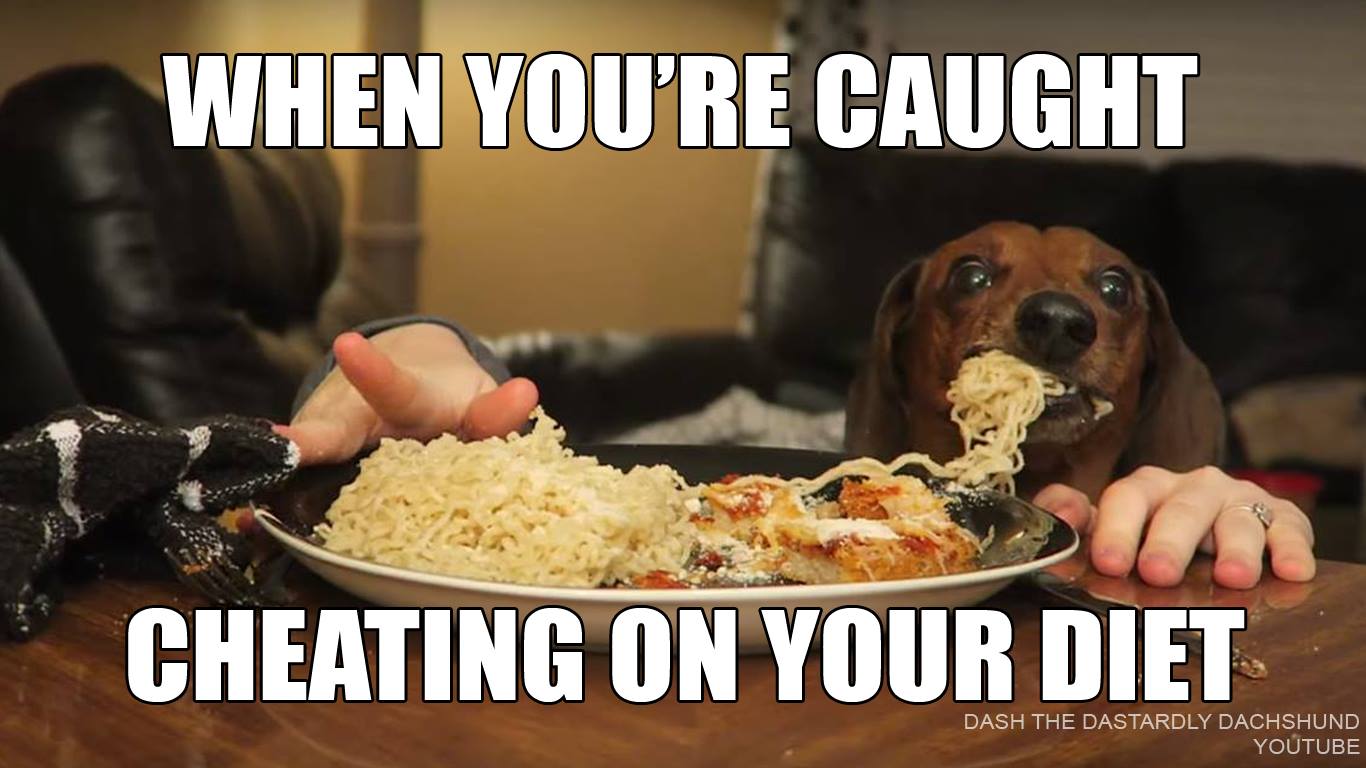16 Funny "Caught Ya" Moments Captured on Camera