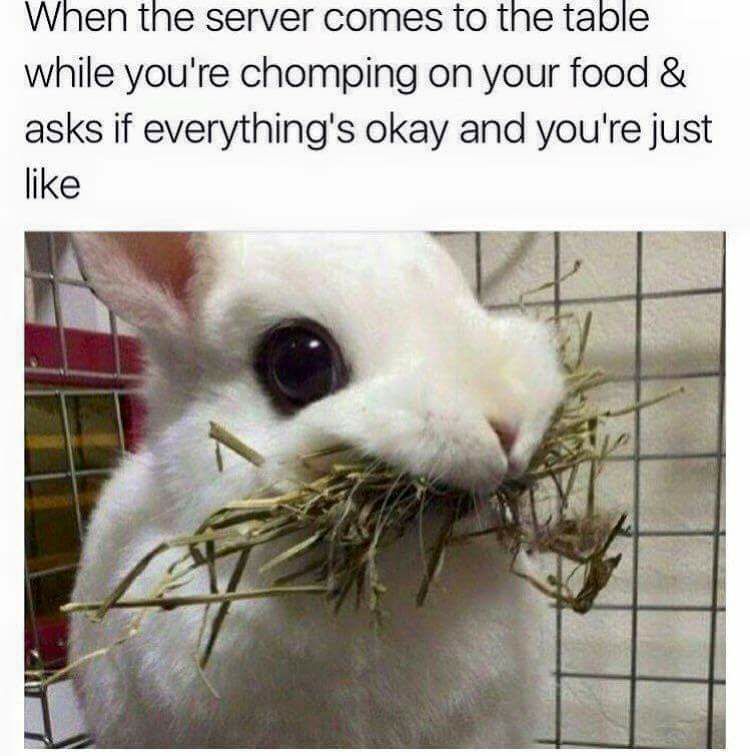 om nom nom meme - When the server comes to the table while you're chomping on your food & asks if everything's okay and you're just
