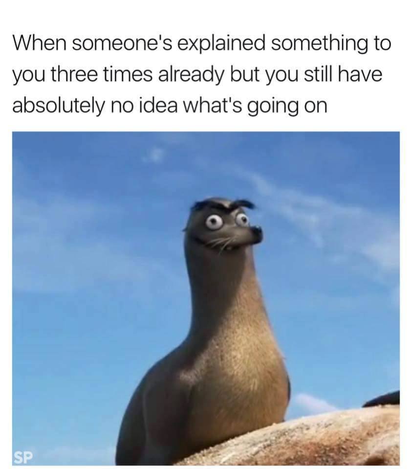 finding dory meme - When someone's explained something to you three times already but you still have absolutely no idea what's going on