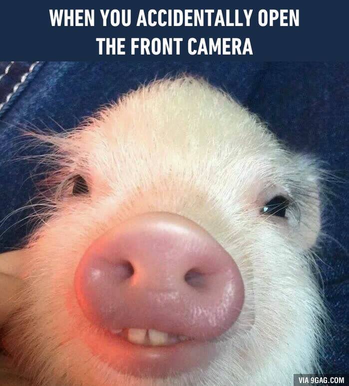 eating meme - When You Accidentally Open The Front Camera Via 9GAG.Com