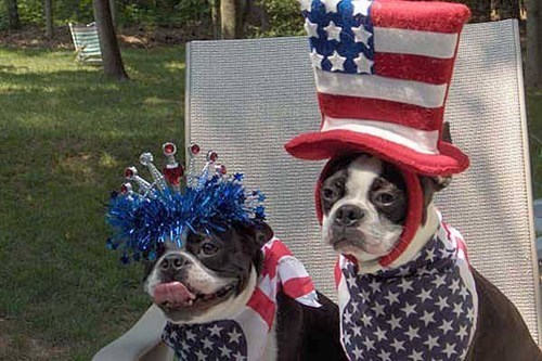 36 All-American Pics To Help You Celebrate Independence Day