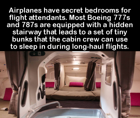 flight attendant bed - Airplanes have secret bedrooms for flight attendants. Most Boeing 777s and 787s are equipped with a hidden stairway that leads to a set of tiny bunks that the cabin crew can use to sleep in during longhaul flights.