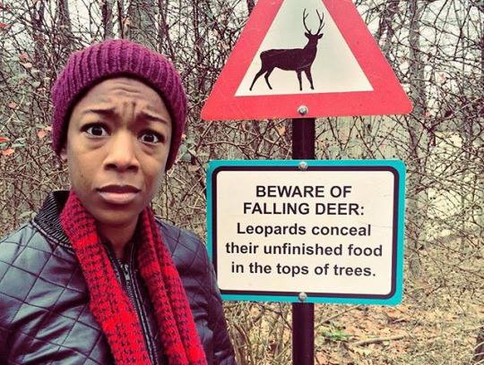 beware of falling deer sign - Beware Of Falling Deer Leopards conceal their unfinished food in the tops of trees.