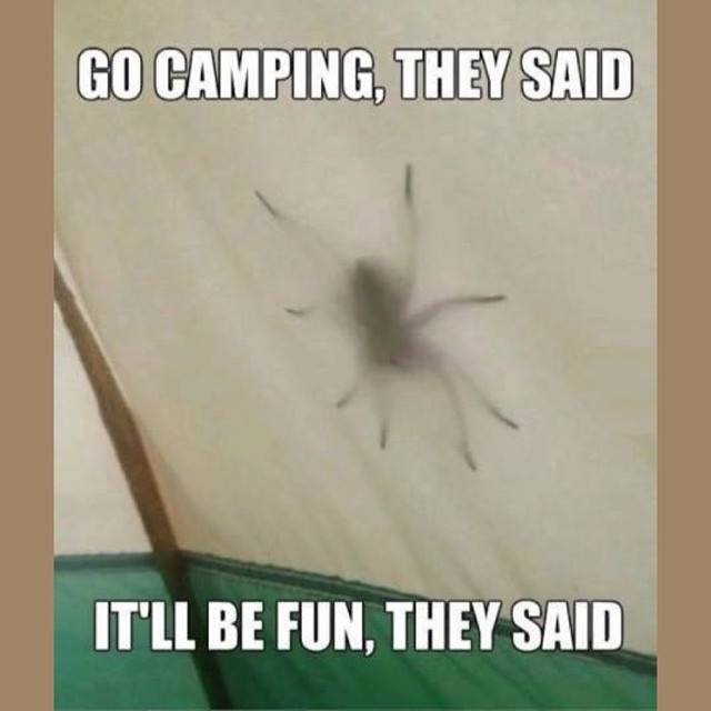 go camping they said it ll be fun they said spider - Go Camping, They Said It'Ll Be Fun. They Said