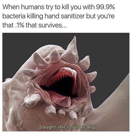 laughs microscopically - When humans try to kill you with 99.9% bacteria killing hand sanitizer but you're that .1% that survives... laughs microscopically