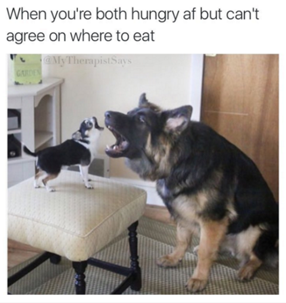 relationship meme of chihuahua vs big dog - When you're both hungry af but can't agree on where to eat a My Therapist Says