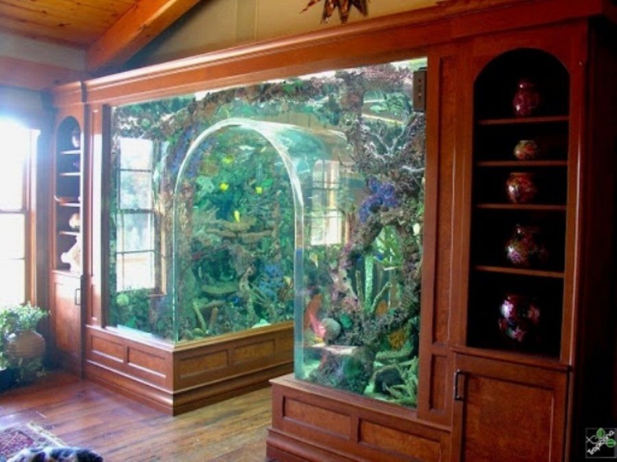 home aquarium ideas