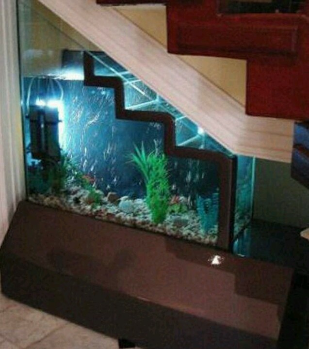 basement fish tank