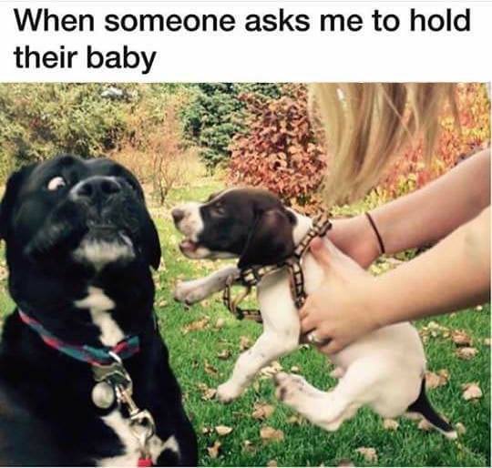 relatable When someone asks me to hold their baby