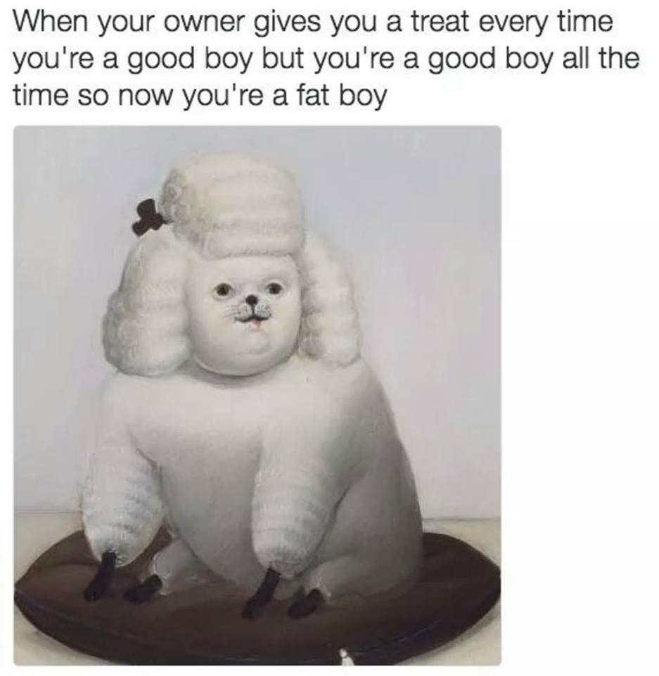 relatable good boy fat boy meme - When your owner gives you a treat every time you're a good boy but you're a good boy all the time so now you're a fat boy