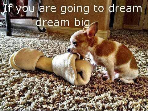 if you are going to dream dream big - If you are going to dream dream big