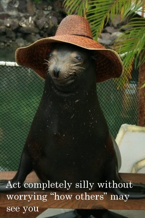 animals wearing bucket hats - Act completely silly without worrying how others may see you