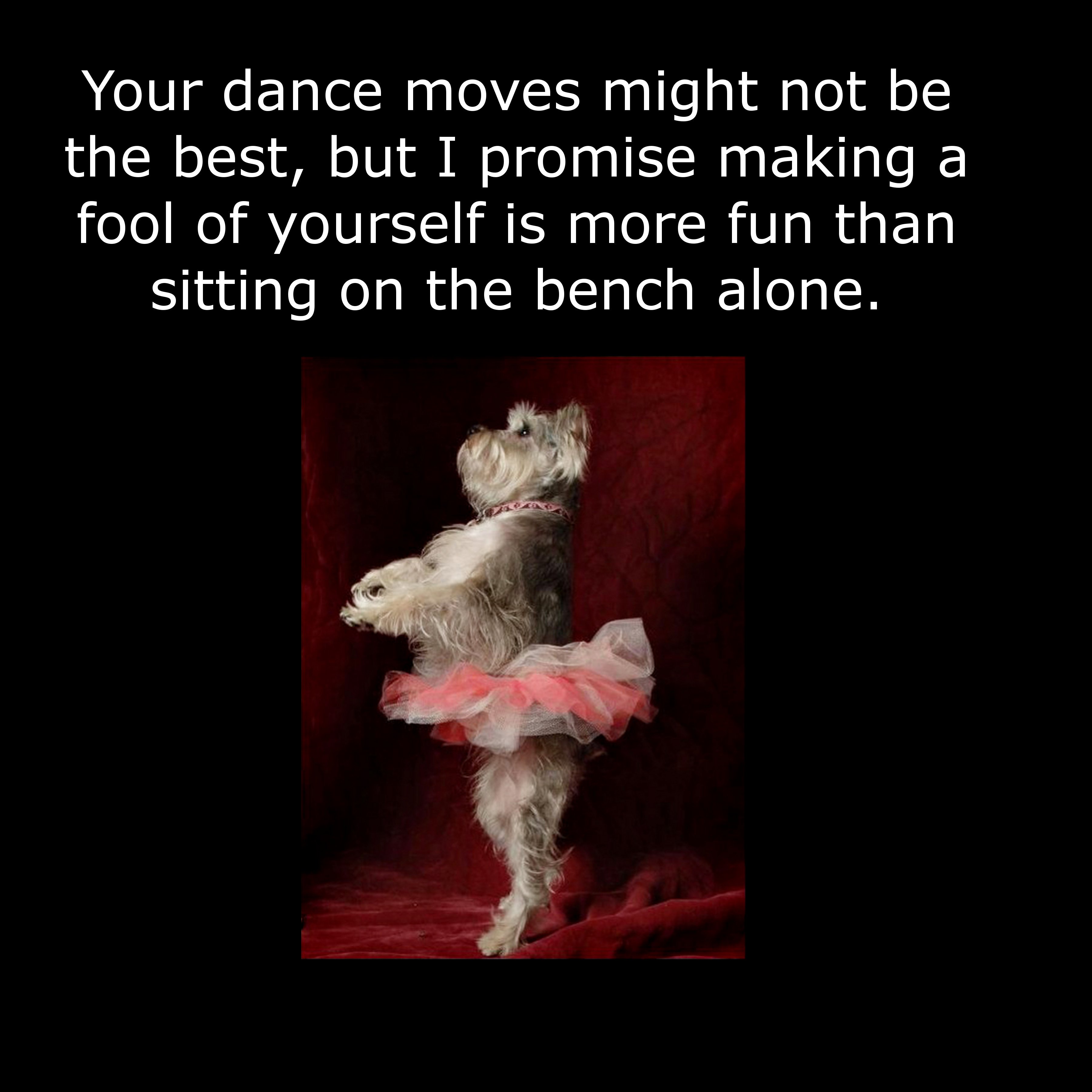 dog ballerina - Your dance moves might not be the best, but I promise making a fool of yourself is more fun than sitting on the bench alone.