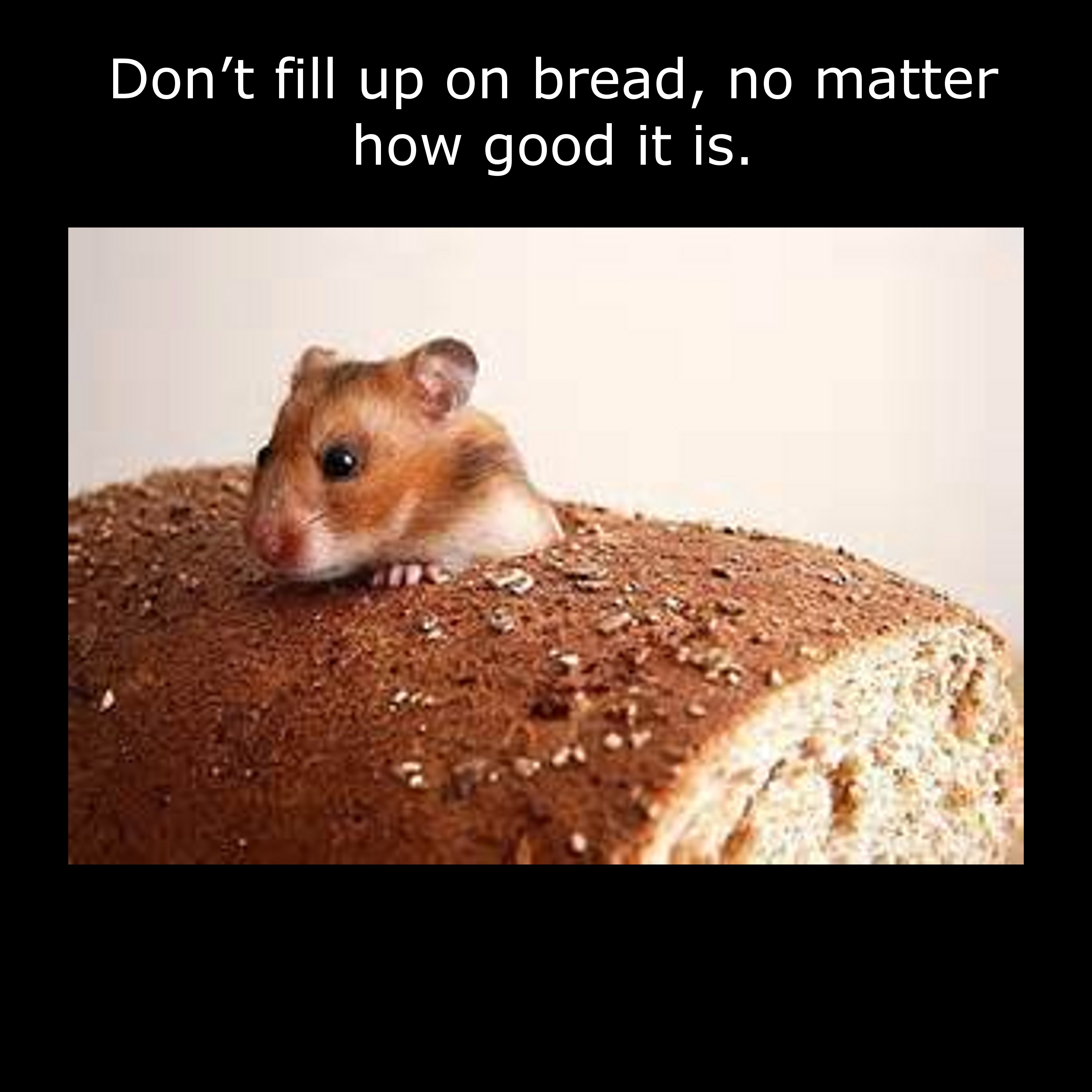 mouse with bread - Don't fill up on bread, no matter how good it is.