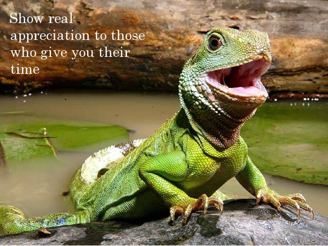 chinese water dragon cute - Show real appreciation to those who give you their time Coro