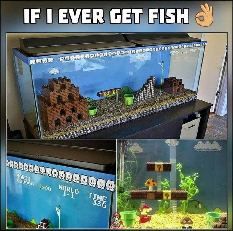 Creating a fish tank like this