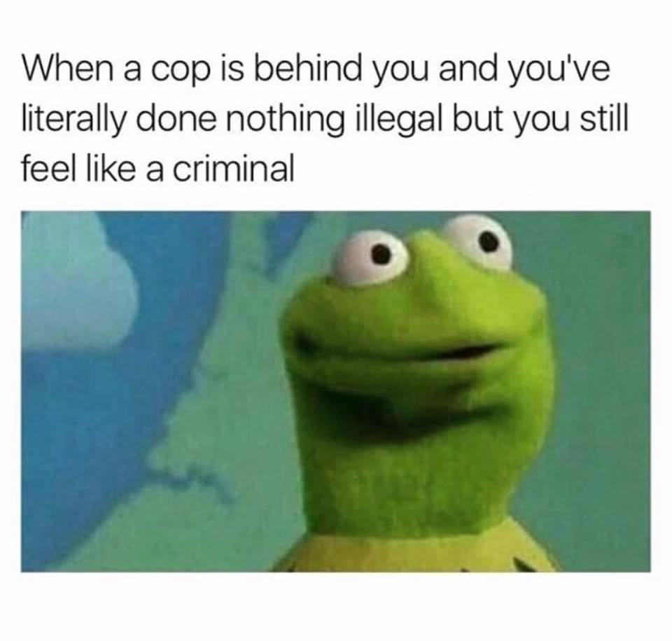 funny police kermit and miss piggy meme - When a cop is behind you and you've literally done nothing illegal but you still feel a criminal