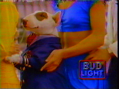 Remember when beer commercials appealed more to kids than adults- cute dogs, talking frogs, a sarcastic lizard, ahhh the '80s