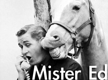 mister ed